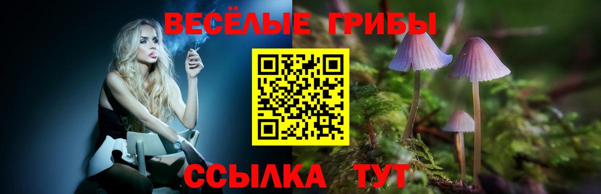 Галлюциногенные грибы Psilocybe Рузаевка